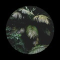 Ethereal Ranger、Cloudburst Zone、Teddy Wall - Ancient Discoveries
