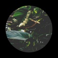 Ethereal Ranger、Cloudburst Zone、Teddy Wall - Downpour Song