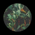 Ethereal Ranger、Cloudburst Zone、Teddy Wall - Ritual