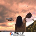 安瑾 - 你是我这一生想要的美丽女人 (DJ安瑾版)