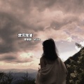 宇辰 - 总有人会错过