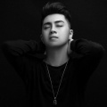 Khang Việt、Ánh Chuột、Thái Hoàng、VIET NAM PRODUCER、DJ Thai Hoang - Chẳng Cần Lý Do - DJ Thái Hoàng Remix (Explicit)