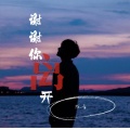 陈青 - 谢谢你离开