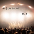 沈若 - 一个人的思念 (DJ版)