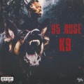 95 Rose - Changes