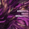 Carnival House Challenge