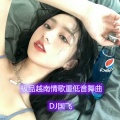 国飞 - 极品越南情歌重低音舞曲