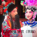 王红涛 - 四郎探母.坐宫