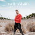 David Amaro - Repriza