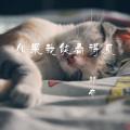 邪帝 - 如果我能看得见