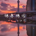 江凡 - 独来独往