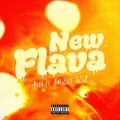 Fatboy SSE、Aura - New Flava (Explicit)