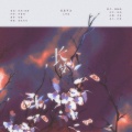 颜糙糙 - 长梦