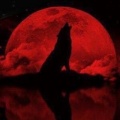 G!ockk - Lone Wolf (Explicit)
