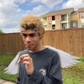 BBYTERNAL、Pxpidom - Gang (Explicit)