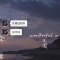 余甜甜 - Wonderful U