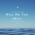 Miss Me Too (Mix)