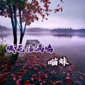 慕遥. - 城花沾满墙