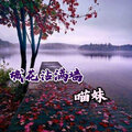 慕遥. - 城花沾满墙