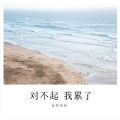 诗情阿阳 - 对不起 我累了