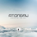 Voice of the Sky (DJ Mix)