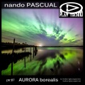 Nando Pascual - Northern Lights (Original Mix)