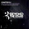 No Fear (The Remixes)