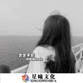 你是莉莉安还是董小姐 (DJ版)