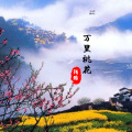 陌皓 - 万里桃花