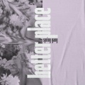 spring gang、Astyn Turr - Better Place