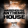 Rory Hoy、Bronx Cheer、Lu Chase - Step Into The Sun (BronxCheerClubRemix)