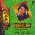 黄晓君 - 总有一天等到你
