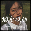 歌者林念、何友 - 蹦迪超嗨曲 (DJ版)