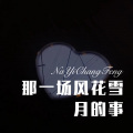 林书音 - 那一场风花雪月的事 (Remix)