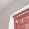 菠菜弟 - 一生 (Remix)