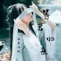 歌者羽晴 - 等君归来