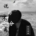 歌者羽晴 - 说好不分离