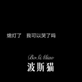 波斯猫