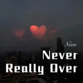 Never Really Over (Remix)