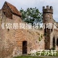 浪子苏轩 - 你是我撞得南墙