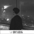 歌者林念 - 摇晃大电 (DJ版)