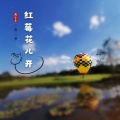 佐佐 - 故乡