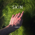 Rag'N'Bone Man-Skin (CHENYI remix)