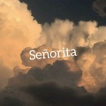 Señorita (片段)