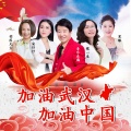 音乐走廊、安仔仔、歌一生、羽落凡尘、果缘 - 加油武汉加油中国