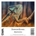 SymphonySounds - You Wish You Knew