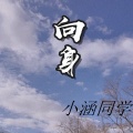 小涵同学 - 向身