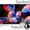 Leonid Gnip - Harmony of The Sound (OriginalMix)