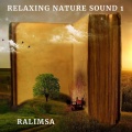 Ralimsa - Alladin