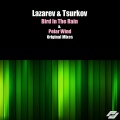 Lazarev、Tsurkov - Bird In The Rain